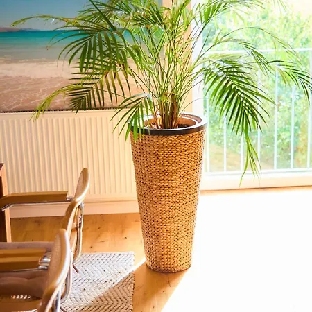 Apartment Luxurioese Mit 3 Schlafzimmern